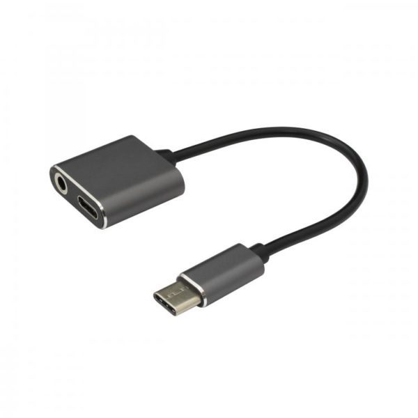 Type C to Type C + 3.5mm